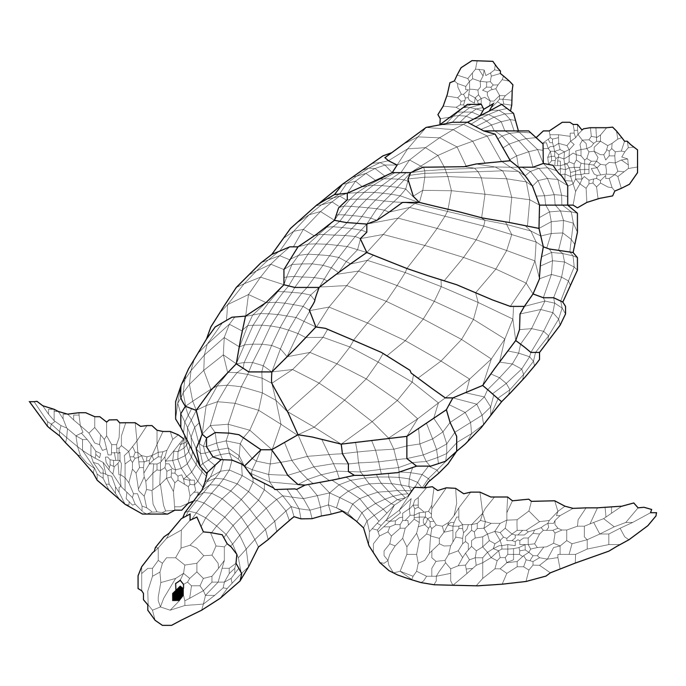 T turtle. Морская черепаха рисунок. Морская черепаха рисунок цветными карандашами. Лоу Поли черепаха. Нарисовать морскую черепаху карандашом поэтапно.